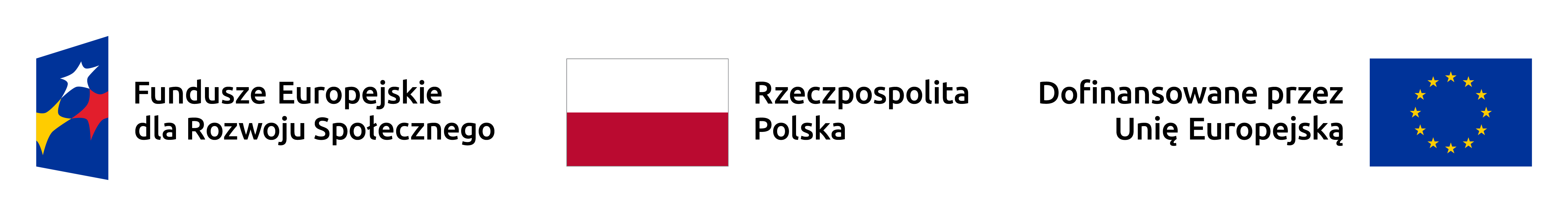 logotyp unijny FERS